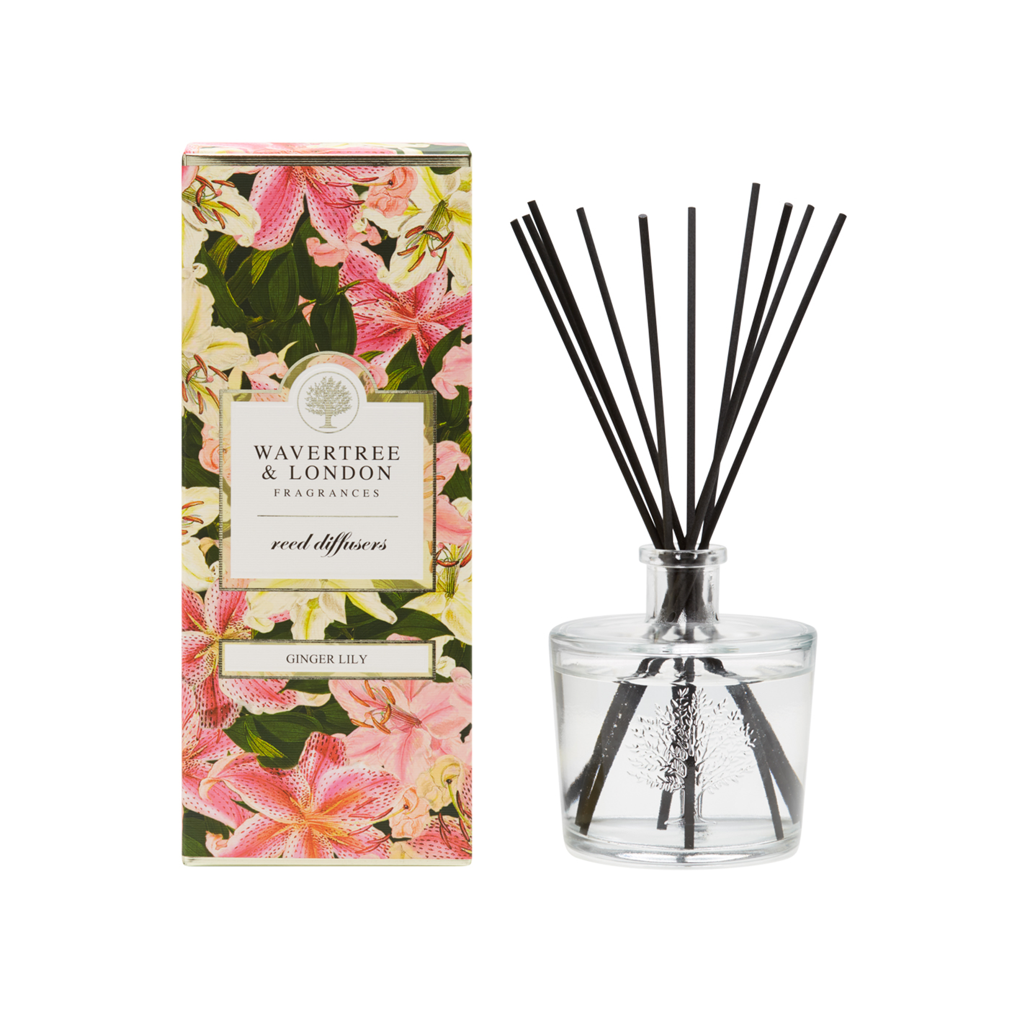 Gingerlily 6 x Diffuser  Carton