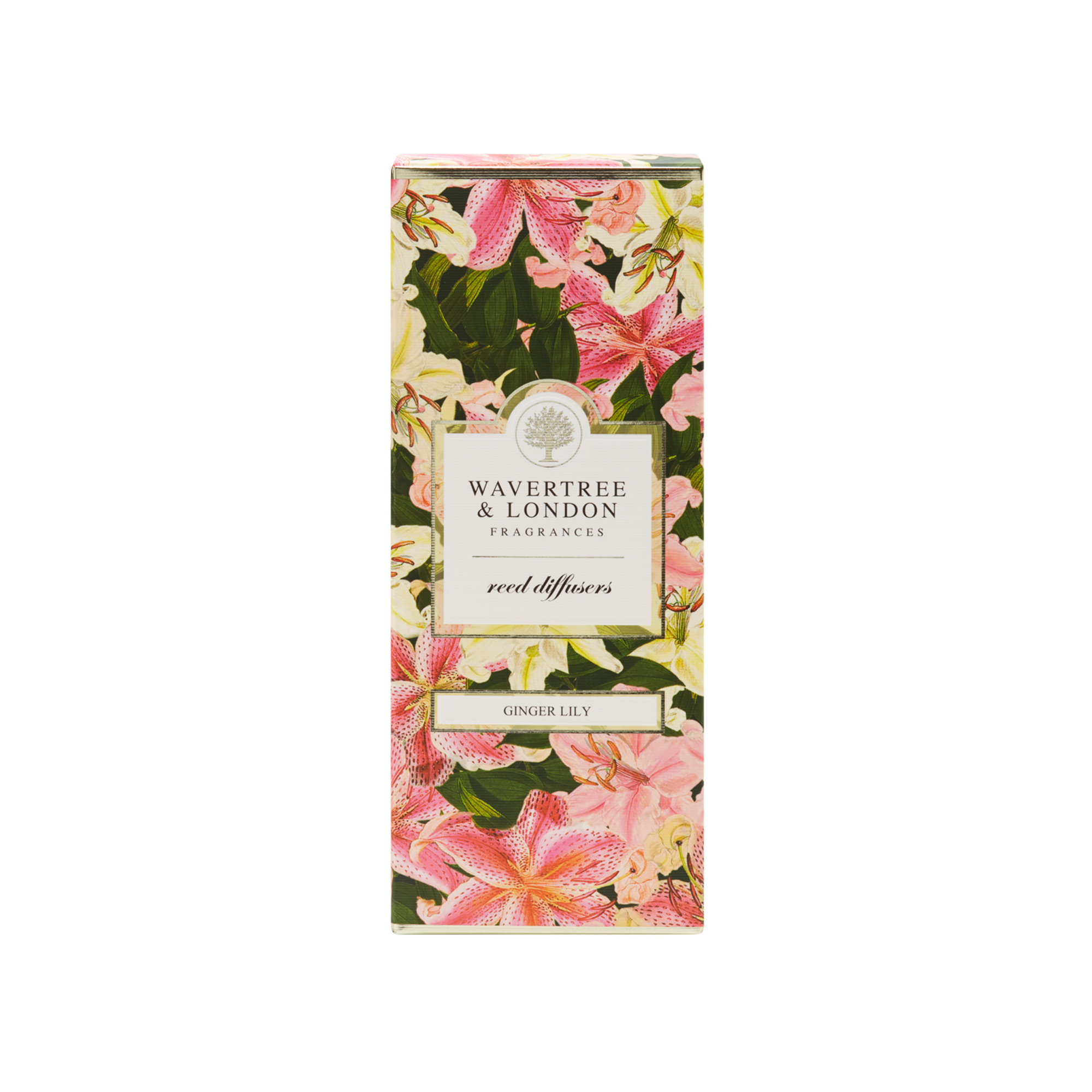 Gingerlily 6 x Diffuser  Carton